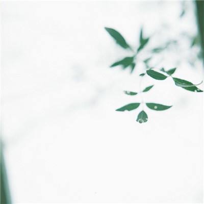 ku游体育下载免费版最新版-ku游体育下载免费版高速版V1.26.59.688 -手机最新版